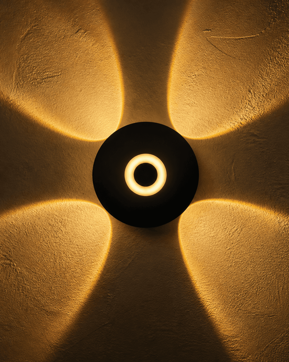 Radial Petal Beam Wall Light